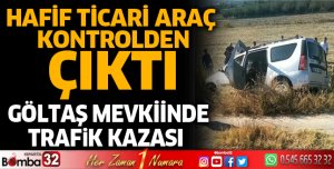 Hafif ticari araç yoldan çıktı
