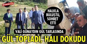 HALI DOKUDU, GÜL TOPLADI!