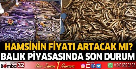 Hamsinin fiyatı artacak mı?