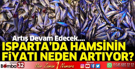 Hamsinin fiyatı neden artıyor?