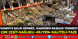 HAMSİYE BALIK DENMEZ, HAMSİDEN BAŞKASI YENMEZ