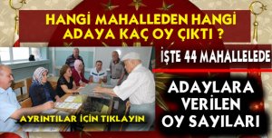 Hangi Mahalleden hangi adaya kaç oy çıktı ?
