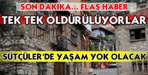 HAYAT BİTİYOR