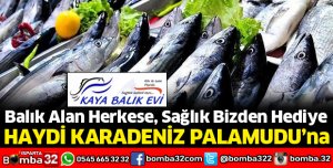 HAYDİ KARADENİZ PALAMUDUNA