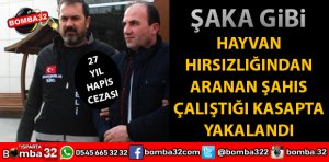 HAYVAN HIRSIZLIĞINDAN ARANIYORDU KASAPTA YAKALANDI