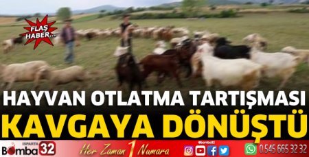 Hayvan otlatma tartışması kavgaya dönüştü 
