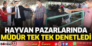 Hayvan Pazarlarında Kurban Bayramı denetimleri