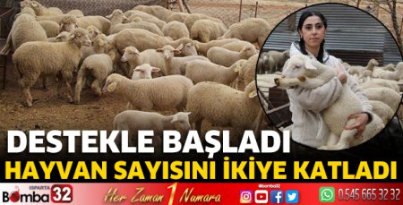 Hayvan sayısını ikiye katladı