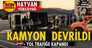 Hayvan Yüklü Kamyon Devrildi