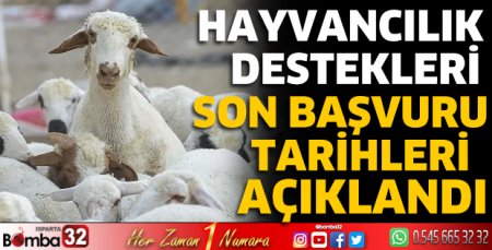 Hayvancılık destekleri son başvuru tarihleri açıklandı
