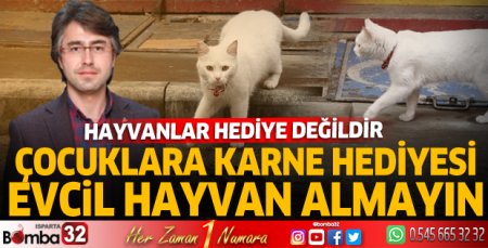 Hayvanlar hediye değildir