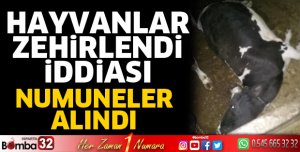 Hayvanlar Zehirlendi İddiası
