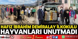 Hayvanları unutmadılar