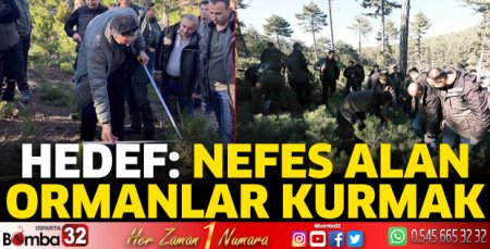 Hedef: Nefes alan ormanlar kurmak