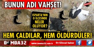 HEM ÇALDILAR, HEM ÖLDÜRDÜLER