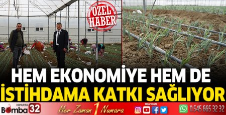 Hem ekonomiye hem de istihdama katkı sağlıyor