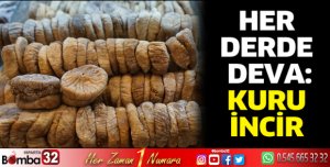 Her derde deva kuru incir