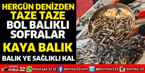 HER GÜN DENİZDEN TAZE TAZE BOL BALIKLI SOFRALAR