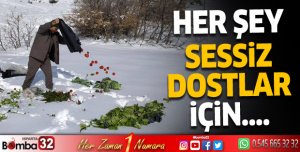 Her şey sessiz dostlar için...