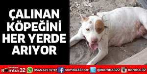 HER YERDE KÖPEĞİNİ ARIYOR