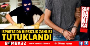 HIRSIZLIK ZANLISI TUTUKLANDI