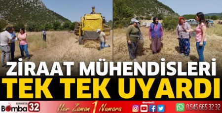 Hububat hasadı devam ediyor