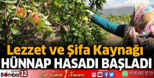 Hünnap hasadı başladı