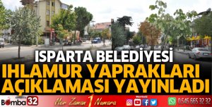 Ihlamur yaprakları açıklaması