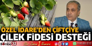 İl Özel İdare’den çiftçiye çilek fidesi desteği