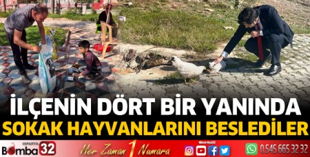 İlçenin dört bir yanında sokak hayvanlarını beslediler 
