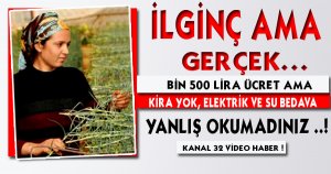 İlginç ama gerçek…