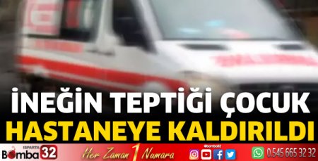 İneğin teptiği çocuk hastaneye kaldırıldı 