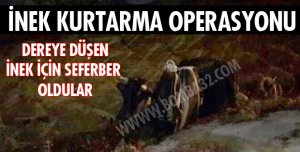 İNEK KURTARMA OPERASYONU