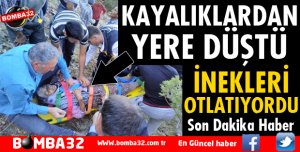 İNEK OTLATIRKEN KAYALIKLARDAN DÜŞTÜ