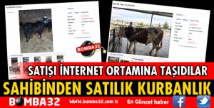 İNTERNETTE SAHİBİNDEN KURBANLIK SATIŞI