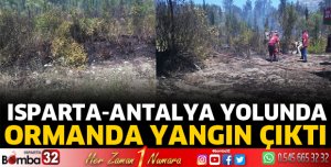 Isparta-Antalya yolunda orman yangını