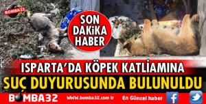 ISPARTA BAROSUNDAN KÖPEK KATLİAMINA SUÇ DUYURUSU