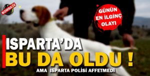 ISPARTA DA  BU DA OLDU 