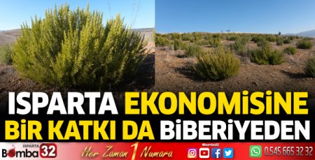 Isparta ekonomisine bir katkı da biberiyeden
