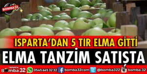 ISPARTA ELMASI TANZİM SATIŞINDA