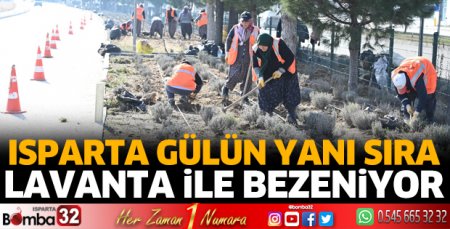 Isparta gülün yanı sıra lavanta ile bezeniyor