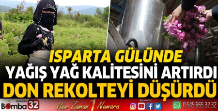 Isparta gülünde yağış yağ kalitesini artırdı, don rekolteyi düşürdü