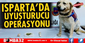 ISPARTA JANDARMADAN UYUŞTURUCU OPERASYONU