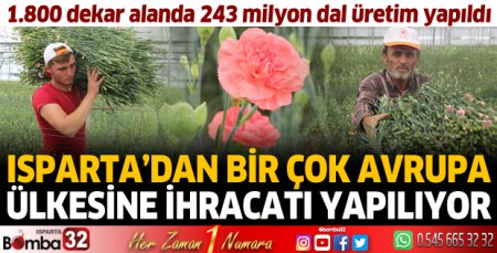 Isparta karanfil üretiminde önemli bir yere sahip
