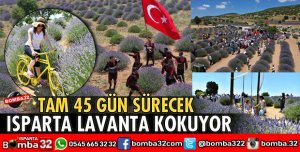ISPARTA LAVANTA KOKUYOR