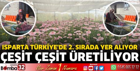 Isparta Türkiye'de 2. sırada yer alıyor