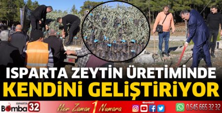 Isparta zeytin üretiminde kendini geliştiriyor