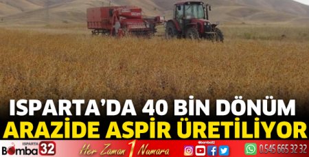 Isparta’da 40 Bin dönüm arazide aspir üretiliyor 