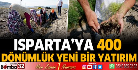 Isparta’da 400 dönümlük bir yatırım