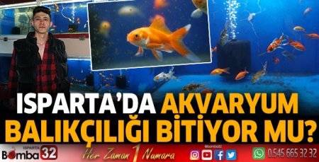 Isparta’da akvaryumculuk bitiyor mu?